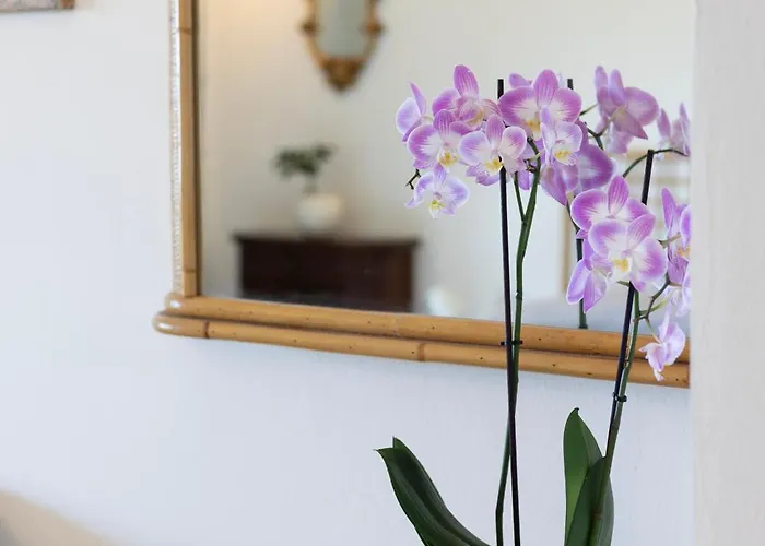 Azzurra By Elbasummer